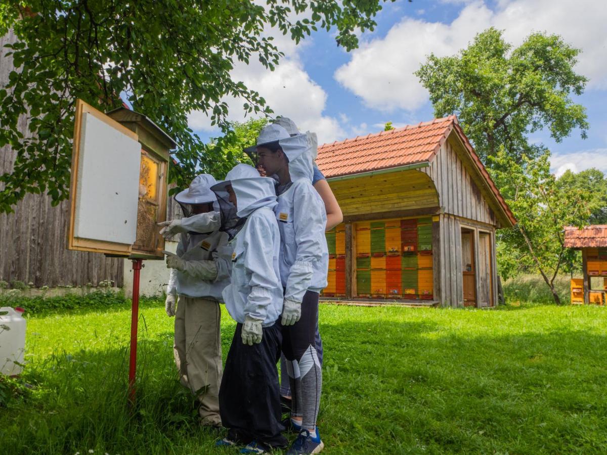 Beekeeping Kojek Lejlighed Ribnica Eksteriør billede
